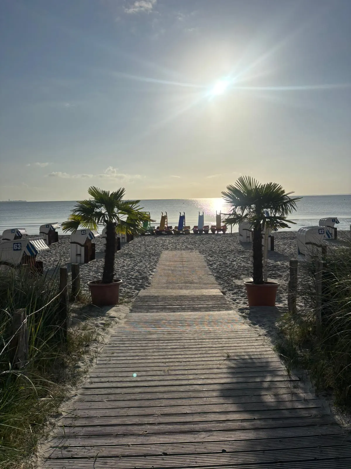 Holzsteg durch die Dünen zum Strand, links und rechts Palmen, dahinter Strandkörbe